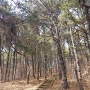 판암동163 이미지