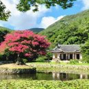 진도 운림산방 티스토리