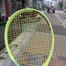 성저테니스장 이미지