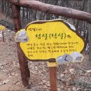섬실