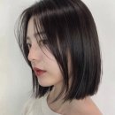 작헤어 이미지