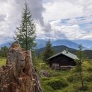 영희랑바둑이랑애견미용실 이미지