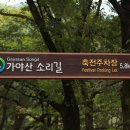 가야산토종닭