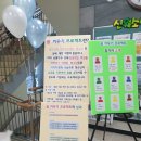 신월종합사회복지관 이미지