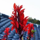 생초리펜션 이미지