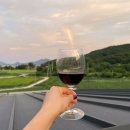 리리스테이 이미지