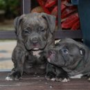 플러스에이 이미지