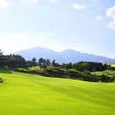 대하프라자 이미지