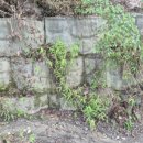 한얼생숯의료기 이미지