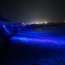 제일그린마트 이미지