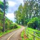 낙동강자전거길 이미지