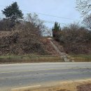 새터목장 이미지