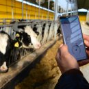 충청 축산 이미지