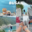 씨제이올리브영 주식회사 부산영도점 | 부산가볼만한 곳 당일치기 부산시티투어버스 타고 태종대 흰여울문화마을 해운대까지 여행특공대 할인티켓