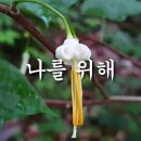 나를위해