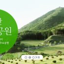 싸이버공원 이미지