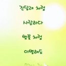 너의꽃말