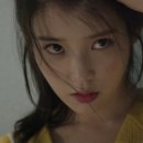 머리끄댕이 이미지