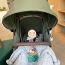 수인목장 이미지