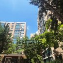 압구정-114 이미지