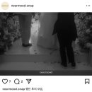 니어 포레스트 | 🕊️💍W-8 [아이폰 스냅] 니어 무드 스냅 Nearmood 계약 후기