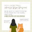 부평종합동물의료센터 이미지