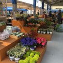 농산물직거래장터 이미지