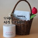 25시카 | 화잘먹 피부 관리 오하다 솔트 와 시카 토너패드 사용 후기