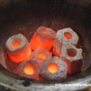 교동곰장어 이미지