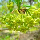 비목쉼터 이미지