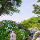 (주)나나렌트카 | [결혼준비] 제주도 웨딩스냅 “한라봉스냅” 후기 + 견적 공유