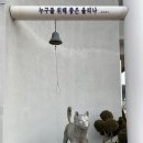 도캐도캐 이미지