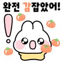 카카오VX 안성점 이미지