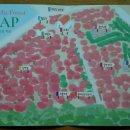 신례교차로 2 이미지