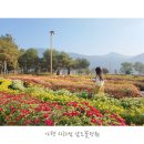 가우라헤어 | 자라섬 구절초, 핑크뮬리, 백일홍 남도꽃정원에서 봐유♡