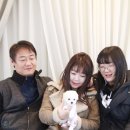 리브라운 수원직영&스피닝 | 영통애견분양 진실 후기들이 많은곳~!