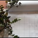 천시원교육농장 이미지