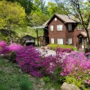 백운산자연휴양림 | 전자휴 백운산 자연휴양림