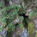 학산면_전천후게이트볼장 이미지