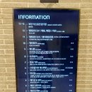 서면 실내게이트볼장 | 다이나믹메이즈 부산 아이랑 가볼만한곳 서면 실내놀거리