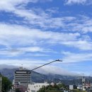 라임호스텔 | 더니든 크래프트 디스틸러 후기 🥃 Bread to Bottle 투어 예약·스피릿 시음·면세점 가격 비교 | City...