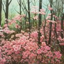 내곡느티나무쉼터 이미지