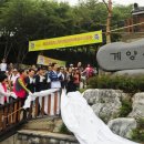 만세로정비 이미지