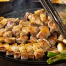 명품 갈매기 이미지