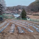 세련농장 이미지