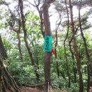 경기둘레길 안성41코스 이미지