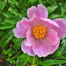 중계근린공원 이미지