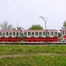 왕송호수공원 이미지