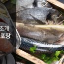 크린플러스 티스토리