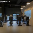트레이닝데이 피트니스 네이버블로그